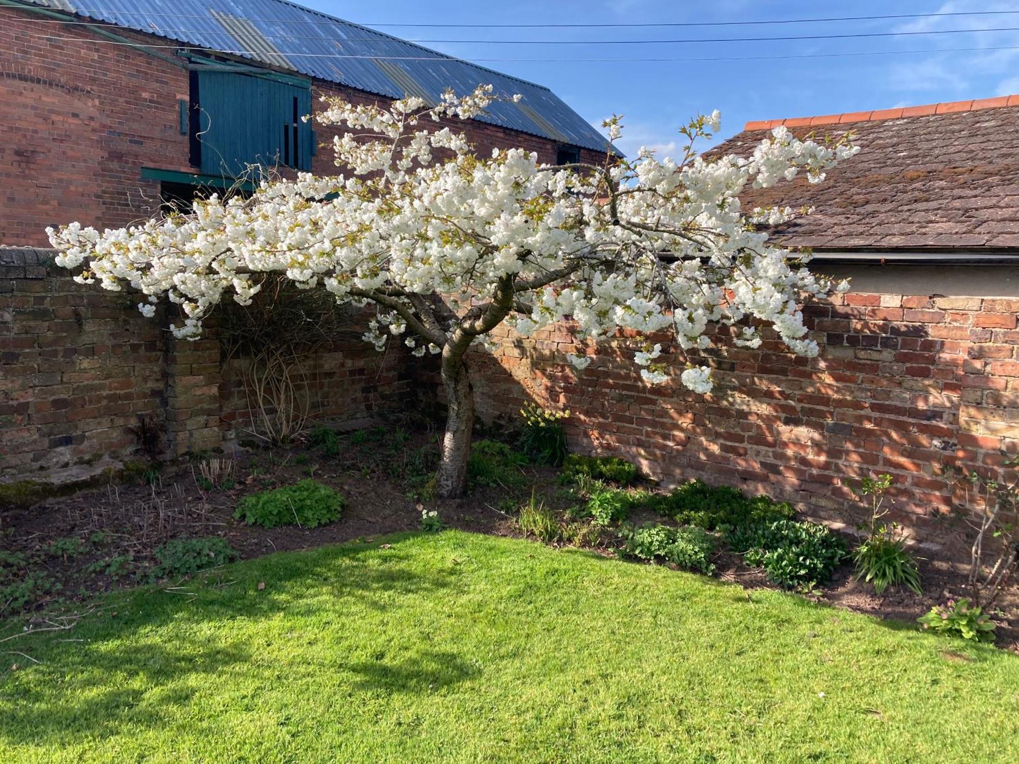 Church Farm B&B Near Telford And Ironbridge Shifnal Exteriör bild