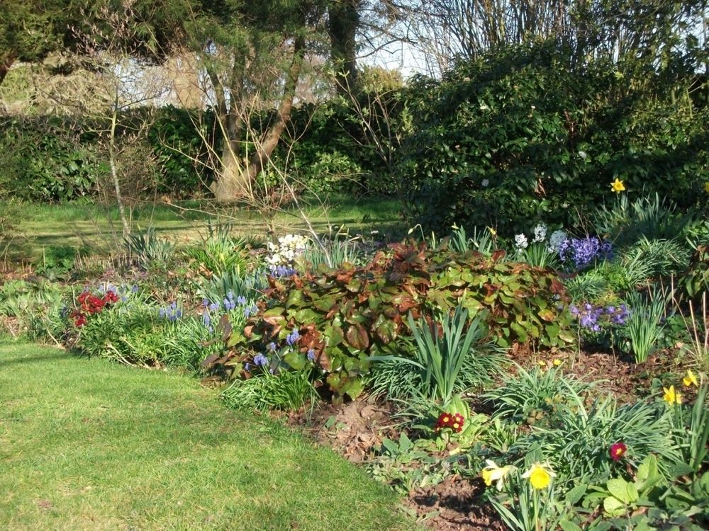 Church Farm B&B Near Telford And Ironbridge Shifnal Exteriör bild