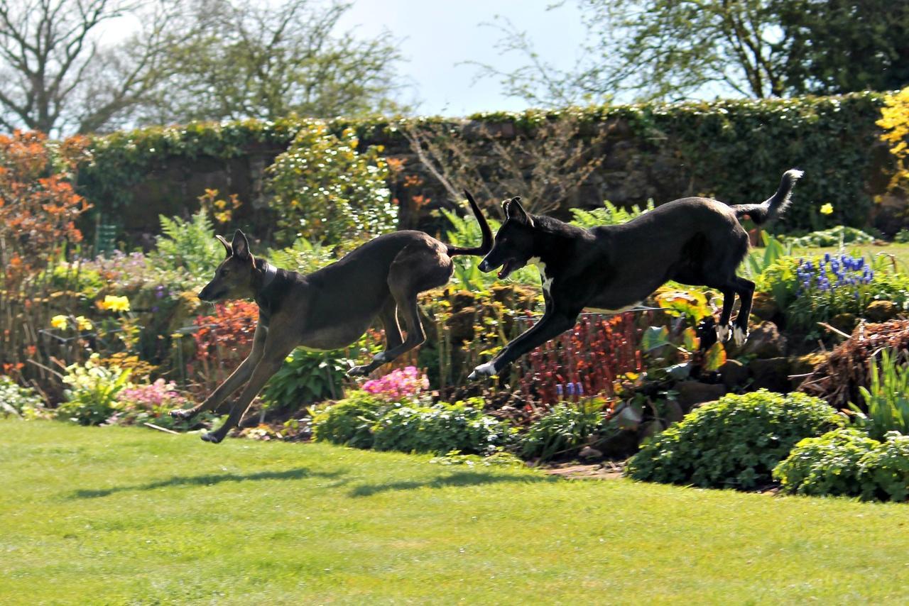 Church Farm B&B Near Telford And Ironbridge Shifnal Exteriör bild